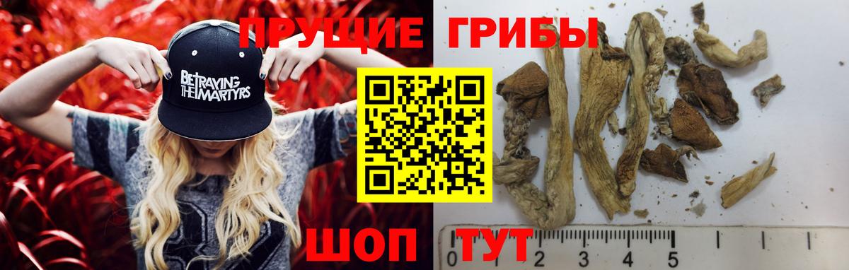 Псилоцибиновые грибы мицелий  Псилоцибиновые грибы мицелий  Чусовой  Вход с VPN 